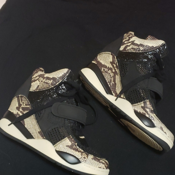 ASN - Picture 2 of 3